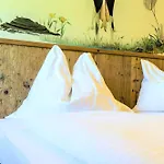 Hotel Alpengasthof Hochsoell