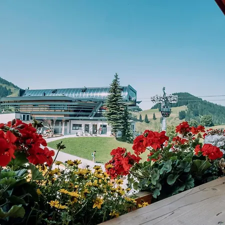 Hotel Alpengasthof Hochsoell *