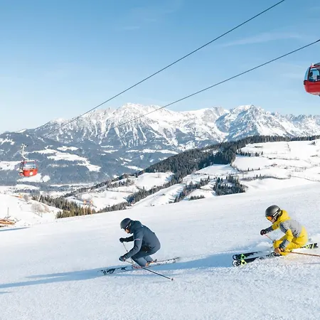 호텔 Alpengasthof Hochsoell