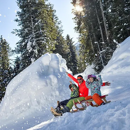 Alpengasthof Hochsoell