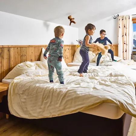 Alpengasthof Hochsoell Отель *