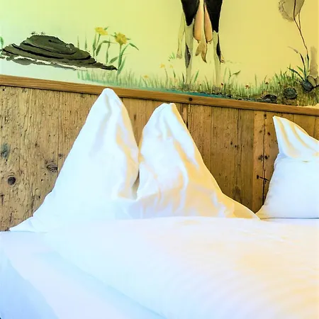 Hotel Alpengasthof Hochsoell