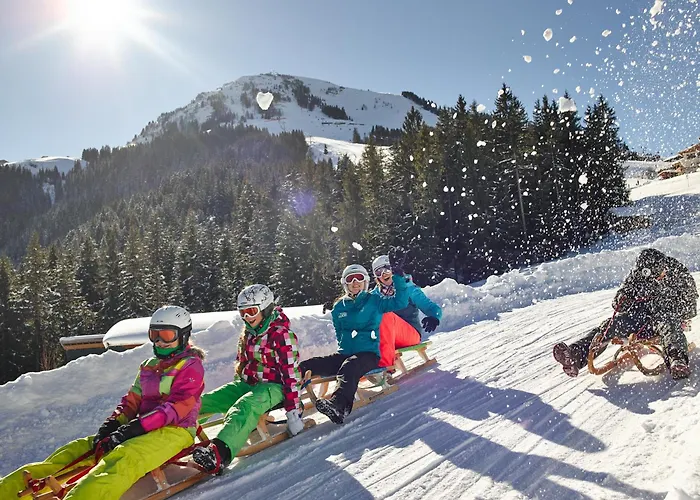 酒店 Alpengasthof Hochsoell