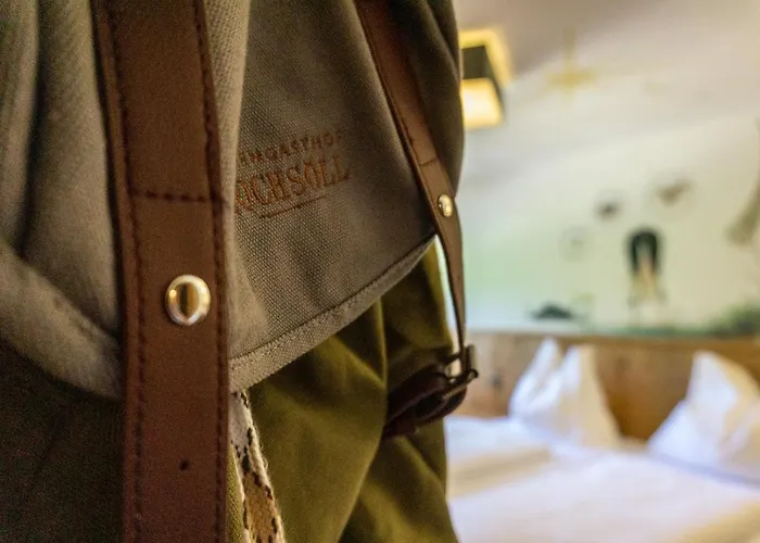 酒店 Alpengasthof Hochsoell 瑟尔